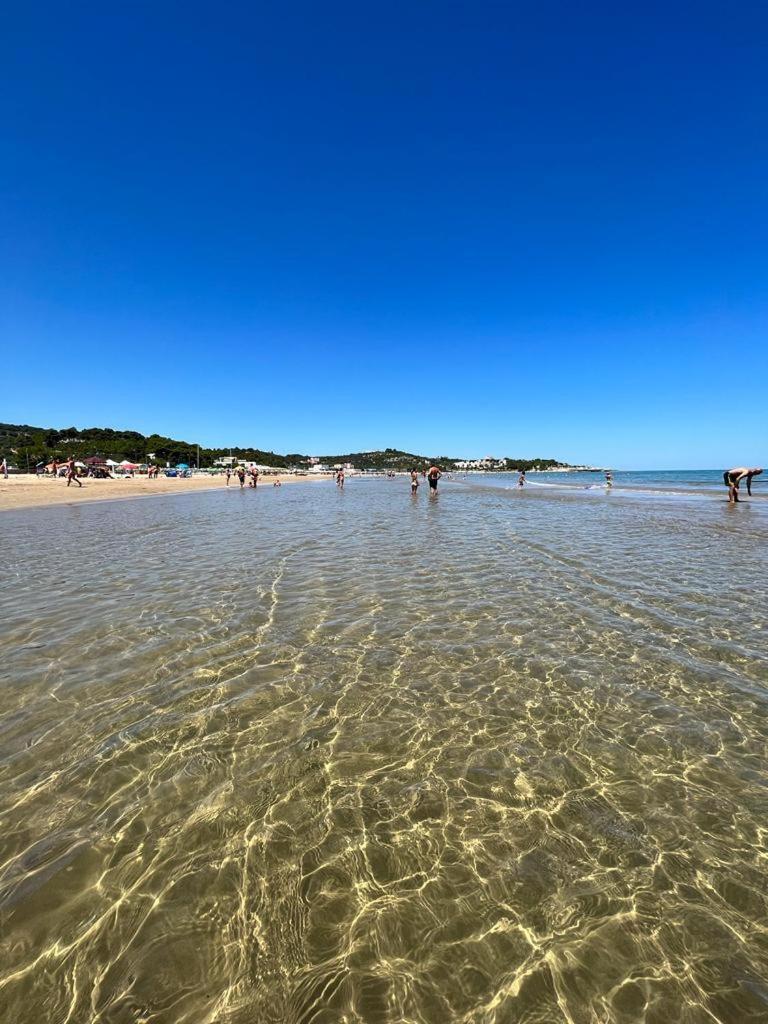 Appartamenti Le Porte Del Gargano Vieste Kültér fotó